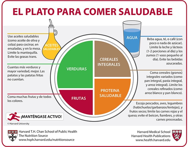 Plato saludable Harvard